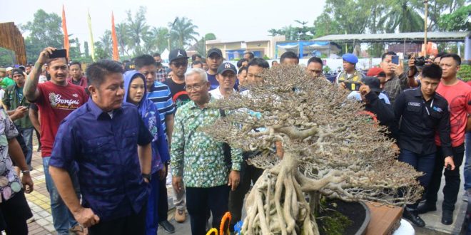 Gubernur Sumsel Herman Deru melihat salah satu pohon bonsai di kontes bonsai di Martapura, OKU Timur, Minggu (25/6/2023). Foto : Humas Pemprov Sumsel.