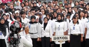 Para honorer di lingkungan Pemkot Palembang. Foto : Sumselheadline/pitria
