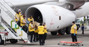 Proses evakuasi satu jemaah haji kloter 4 untuk dirujuk ke rumah sakit saat tiba di Bandara SMB II Palembang, Selasa (11/7/2023). Foto : Sumselheadline/pitria