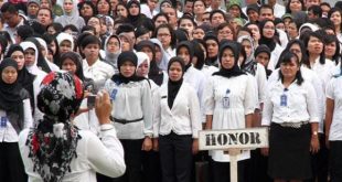 Ilustrasi honorer yang kini dijadikan PPPK. Foto : Dok Sumselheadline