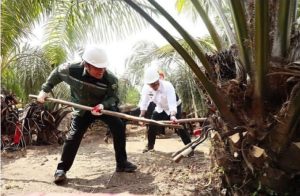 Gubernur Sumsel Herman Deru mendampingi Menteri Pertanian Syahrul Yasin Limpo panen sawit di Kabupaten OKI, Senin (17/7/2023). Foto : Humas Pemprov Sumsel