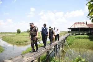 Gubernur Sumsel, Herman Deru bersama Menteri Pertanian Syahrul Yasin Limpo meninjau penanaman perdana padi gemas elnino di Desa Pelabuhan Dalam, Ogan Ilir, Senin (7/8/2023). Foto : Humas Pemprov Sumsel