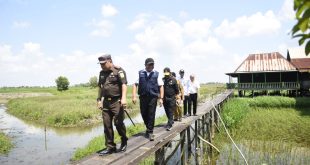 Gubernur Sumsel, Herman Deru bersama Menteri Pertanian Syahrul Yasin Limpo meninjau penanaman perdana padi gemas elnino di Desa Pelabuhan Dalam, Ogan Ilir, Senin (7/8/2023). Foto : Humas Pemprov Sumsel