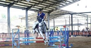 Salah satu atlet peserta Kejuaraan Berkuda Pilala Gubernur Sumsel di Stabel Berkuda, Gandus Palembang, Minggu (6/8/2023). Foto : Humas Pemprov Sumsel