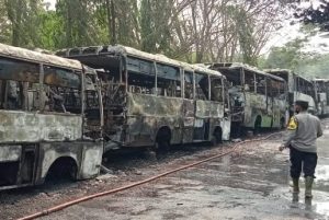 Puluhan bus trans musi terparkir di pul bus Alang-alang Lebar, Palembang terbakar, Minggu (8/10/2023). Foto : Sumselheadline/Ela