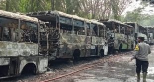Puluhan bus trans musi terparkir di pul bus Alang-alang Lebar, Palembang terbakar, Minggu (8/10/2023). Foto : Sumselheadline/Ela