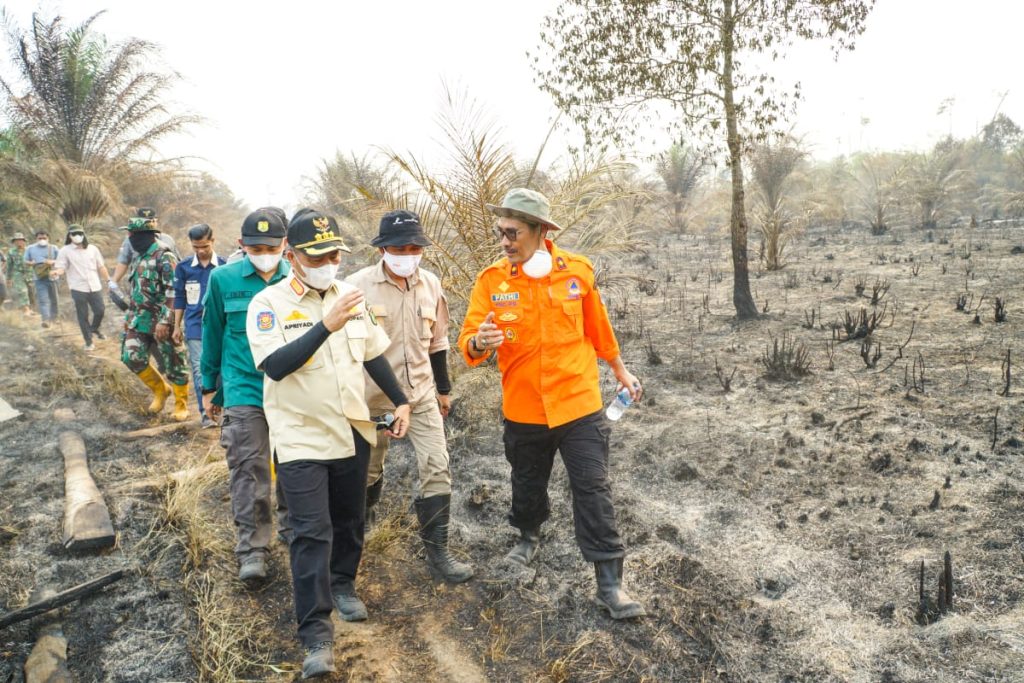 Pj Bupati Muba, Apriyadi datangi kawasan lahan kebun di Desa Ngulak yang terbakar, Selasa (17/10/2023). Foto : Dinkominfo Muba.