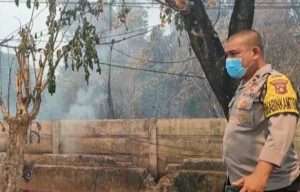 Lahan Terbakar Seoerang anggota polisi yang ikut menyaksikan dan memadamkan api di lahan yang terbakar, Senin (16/10/2023). Foto : Sumselheadline/Ela.