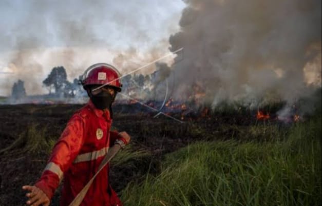 Seorang petugas dari BPBD yang berjibaku padamkan api di lahan yang terbakar. Foto : Dok BPBD Sumsel.
