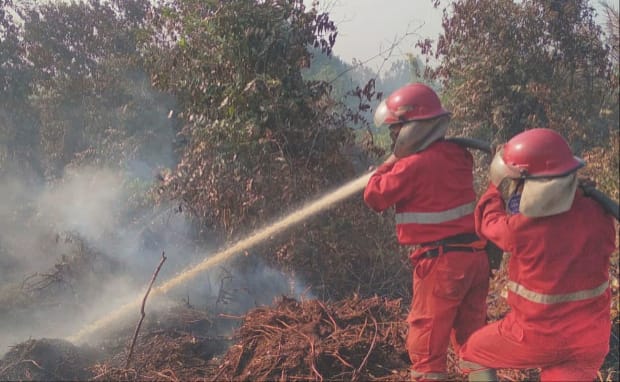 Ilustrasi pemadaman karhutla. Foto : Dok Sumselheadline.
