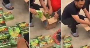 Petugas menemukan 32 kg sabu di dalam mobil terparkir di Jl ALigatmir Palembang, Selasa (31/10/2023). Foto : Sumselheadline/Ela.