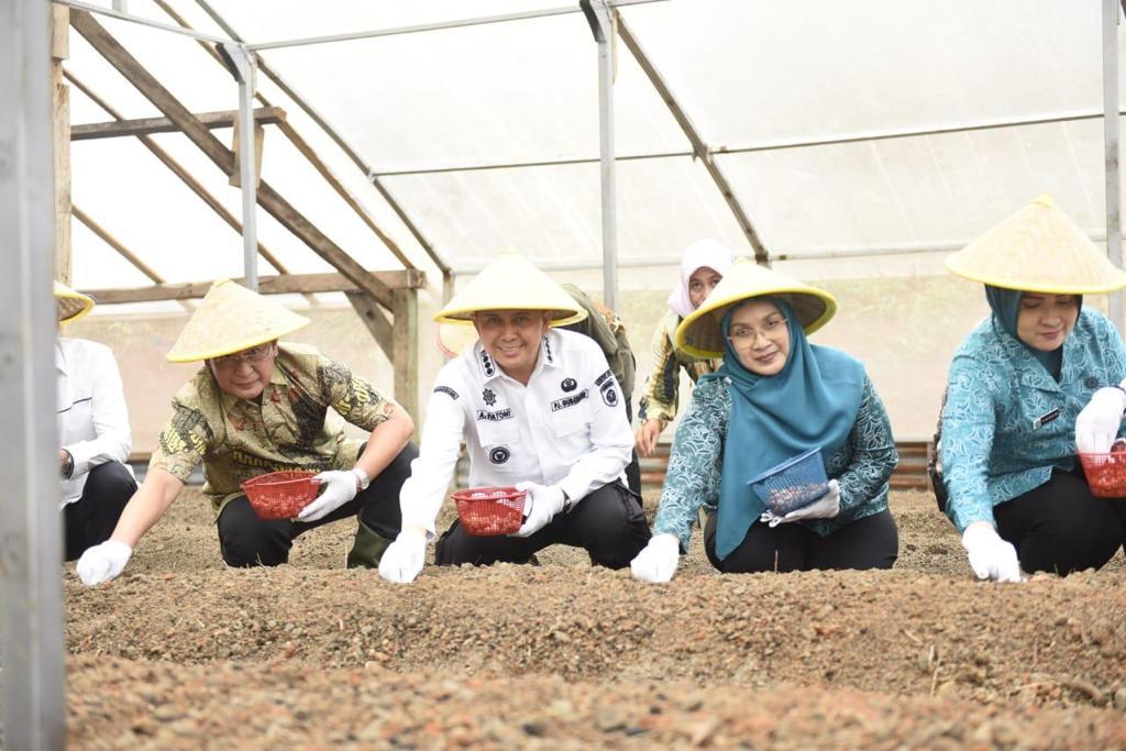 Pj Gubernur Sumsel, Agus Fatoni bersama istri ikut menyemai bawang merah di Kecamatan Sosoh Buay Rayap, OKU, Sabtu (4/11/2024). Foto : Humas Pemprov Sumsel