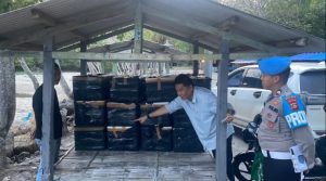 Sebanyak 12 boks benih lobster diamankan petugas, Rabu (29/11/2023). Foto : Sumselheadline/Ela