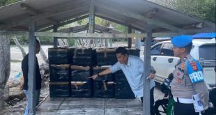 Sebanyak 12 boks benih lobster diamankan petugas, Rabu (29/11/2023). Foto : Sumselheadline/Ela