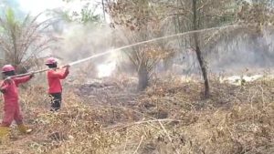 Petugas memadamkan kebakaran lahan dan perkebunan. Foto : Dok Penyidik Polda Sumsel.
