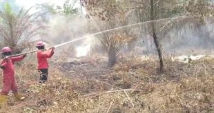 Petugas memadamkan kebakaran lahan dan perkebunan. Foto : Dok Penyidik Polda Sumsel.