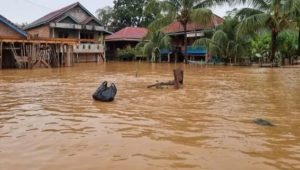 Salah satu desa titik banjir besar di Muratara. Foto: Dok BPBD Muratara.