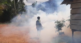 Petugas melakukan pogging (penyemprotan asap) untuk membunuh jentik nyamuk. Foto: Dinkominfo Muba.