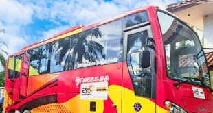 Teman Bus Trans Musi, Palembang. Foto: Sumselheadline/Pitria.