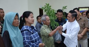 Pj Walikota Palembang memberikan bibit cabai pada warga, Jumat (2/2/2024). Foto: Kominfo Palembang.