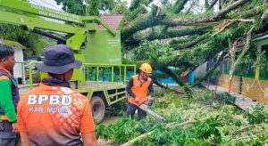 Petugas BPPD dan tim memotong pohon tumbang di Kota Sekayu, Jumat (9/2/2024> Foto: Dinkominfo Muba.