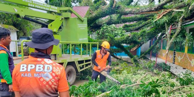 Petugas BPPD dan tim memotong pohon tumbang di Kota Sekayu, Jumat (9/2/2024> Foto: Dinkominfo Muba.