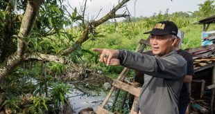 Pj Bupati Muba, Apriyadi saat kegiatan bersih lingkungan. Foto: Dok Kominfo Muba.