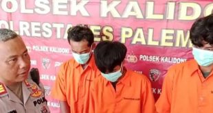 Tiga tersangka, M Alfa Reza (19), M Pandri (27) dan Julio Kurnia Saputra (27) ditangkap aparat Polsek Kalidoni, Palembang, Rabu (20/3/2024).Foto: Sumselheadline/Ela.