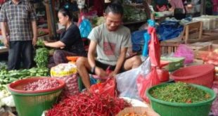 Pedagang kam5 Palembang yang menggelar sejumlah jenis cabai. Foto: JPNN.
