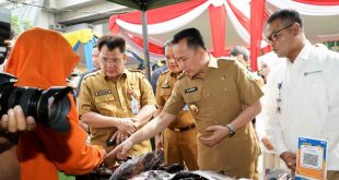 Pj Gubernur Sumsel, Agus Fatoni meninjau langsung pasar murah di halaman Dinas Ketahanan Pangan, Selasa (2/4/2024). Foto: Humas Pemprov Sumsel.