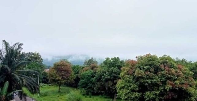 Dibalik pohon-pohon itu biasanya tampak gagah Bukit Sulap. Namun Kamis (11/4/2024) pagi tak tampak, karena tertutup oleh embun pagi. Foto: Sumselheadline/Rya.