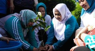 Pj Ketua Tim Penggerak (TP)  PKK Sumsel Tyas Fatoni menanam cabai di kawasan Anjungan Sumsel, TMII Jakarta, Sabtu (27/4/2024). Foto: Humas Pemprov Sumsel.