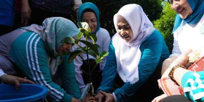 Pj Ketua Tim Penggerak (TP)  PKK Sumsel Tyas Fatoni menanam cabai di kawasan Anjungan Sumsel, TMII Jakarta, Sabtu (27/4/2024). Foto: Humas Pemprov Sumsel.