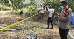 Polisi melakukan olah TKP tempat penemuan tengkorak Desa Cipta Praja, Keluang, Muba, Senin (6/5/2024). Foto: Dok Polres Muba.