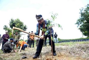 Penjabat Gubernur Sumsel, Agus Fatoni menanam pohon gaharu di Desa Langkan Kabupaten Banyuasin, Sumatera Selatan. Foto: Humas Pemprov Sumsel.