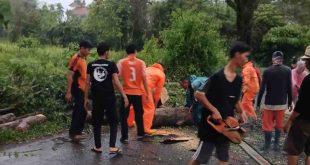 Tim BPBD Muba yang sigap membersihkan pohon tumbang melintang di jalan, Minggu (19/5/2024). Foto: Dok Tim BPBD Muba.