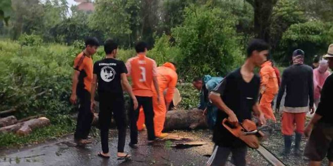 Tim BPBD Muba yang sigap membersihkan pohon tumbang melintang di jalan, Minggu (19/5/2024). Foto: Dok Tim BPBD Muba.