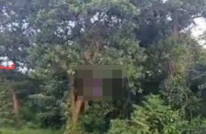 Lokasi penemuan Roni yang tewas tergantung, diduga bunuh diri, Sabtu (15/6/2024). Foto: Sumselheadline/Ela.