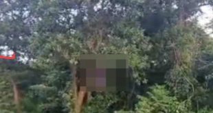 Lokasi penemuan Roni yang tewas tergantung, diduga bunuh diri, Sabtu (15/6/2024). Foto: Sumselheadline/Ela.