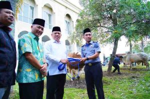Pj Bupati Muba, Sani Fahlepi didampingi Sekda Apriyadi secara simbolis menyerahkan 32 sapi kurban di halaman Masjid Raya Baitul Makmur Sekayu, Minggu (16/6/2024). Foto: Kominfo Muba.