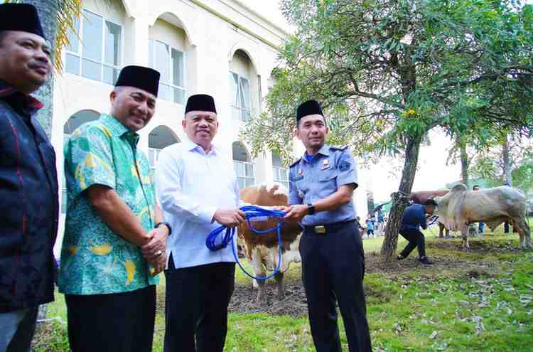 Pj Bupati Muba, Sani Fahlepi didampingi Sekda Apriyadi secara simbolis menyerahkan 32 sapi kurban di halaman Masjid Raya Baitul Makmur Sekayu, Minggu (16/6/2024). Foto: Kominfo Muba.