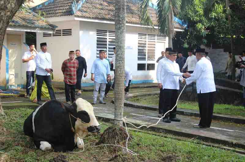 Suasana pemotongan hewan kurban di jajaran Polda Sumsel, Senin (18/6/2024). Foto: Sumselheadline/Ela.