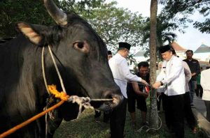 Pj Gubernur Sumsel, Agus Fatoni meresmikan Gerakan Kurban Sserentak di Masjid Agung, Palembang, Minggu (16/6/2024). Foto: Humas Pemprov Sumsel.
