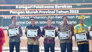 Pemprov Sumsel melalui Dinas Ketahanan Pangdan dan Peternakan menerima penghargaan pada Festival Pangan Nusantara dan Bapanas Award yang diselenggarakan Badan Pangan Nasional (Bapanas) RI bertempat di Ballroom Hotel Sultan, Jakarta, Minggu (28/7/2024). Foto: Humas Pemprov Sumsel.
