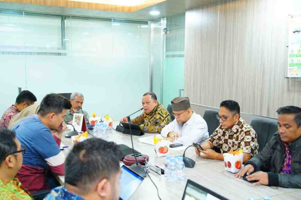 Pj Bupati Muba, Sandi Fahlepi saat audiensi ke Kementerian ESDM, Jakarta, Jumat (5/7/20240. Foto: Kominfo Muba.