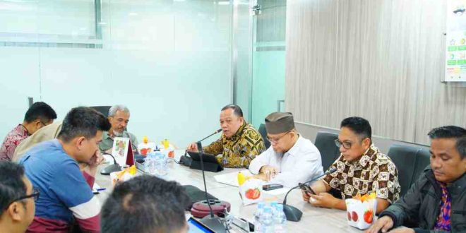 Pj Bupati Muba, Sandi Fahlepi saat audiensi ke Kementerian ESDM, Jakarta, Jumat (5/7/20240. Foto: Kominfo Muba.