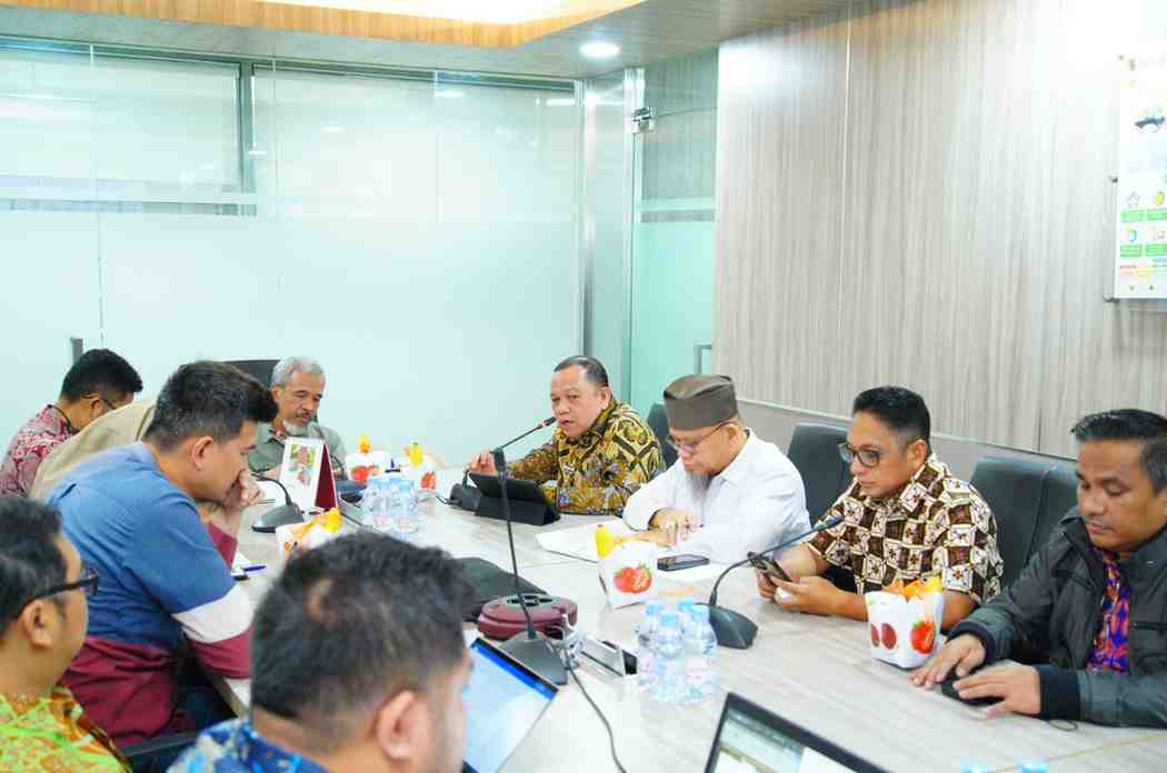 Pj Bupati Muba, Sandi Fahlepi saat audiensi ke Kementerian ESDM, Jakarta, Jumat (5/7/20240. Foto: Kominfo Muba.