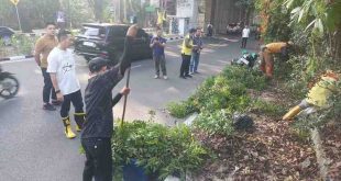 Menjalnkan program Mumat bersih, Sekda Palembang Ratu Dewa memimpin pembersihan rumput liar di sepanjang pinggi Jl Angkatan 45, Jumat (19/7/2024). Foto: Sumselheadline/Pitria.