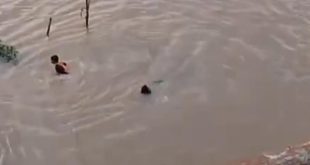Video detik-detik seorang pekerja tenggelam setelah jatih dari Jembatan Ogan, Palembang, Jumat (12/7/2024). Foto: screenshot medsos.
