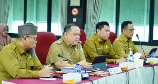 Pj Bupati Muba, Sandi Fahlepi saat paparan di Kemendagri, Senin (29/7/2024). Foto: Kominfo Muba.